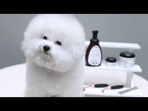 Eye Envy Tear Stain Remover Starter Kit - tear stain removal cosmetic kit for dogs.