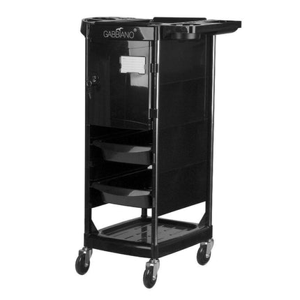 Gabbiano FX10C - grooming assistant, 30x40x88, 4 trays, including a closed one, made of plastic.