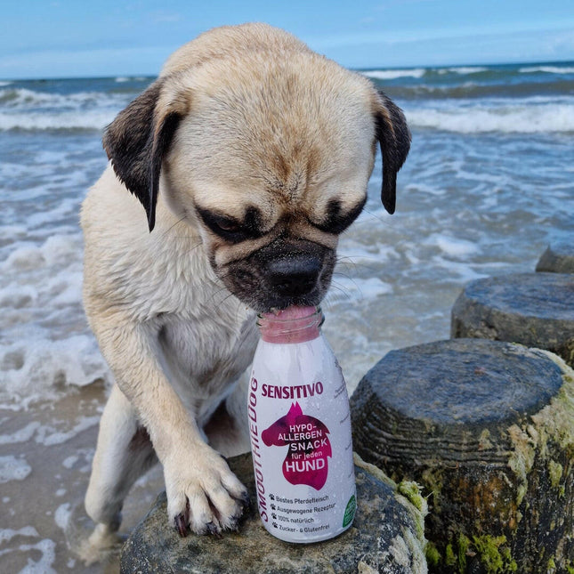 SmoothieDog Sensitivo - smoothie for dogs with food allergies, with horse meat.