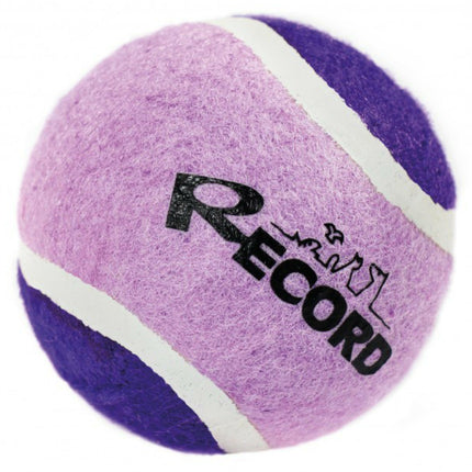 Record Dog's Tennis Ball - tennis ball for dogs.