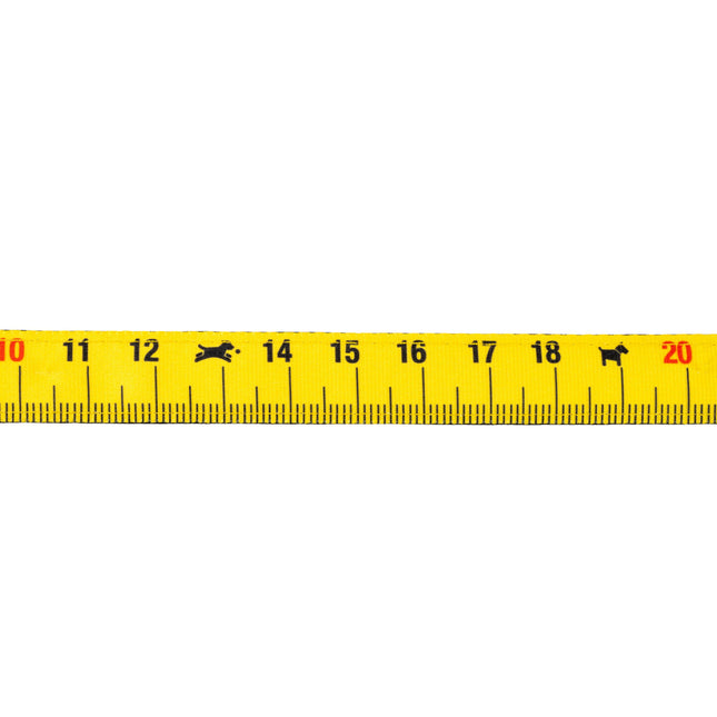 Max&Molly GOTCHA! Smart ID Cat Collar Ruler - colorful collar for cats with a smart Tag pendant.