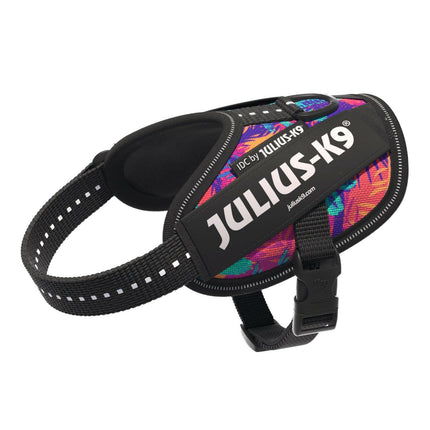 Julius - K9 IDC Powerharness Vibe - dog harness with reflective features, palm pattern.