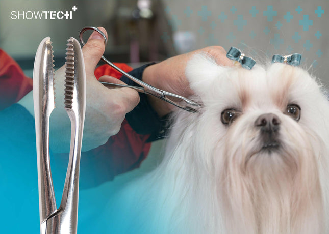 Show Tech Safety Ear Forceps - Straight Ear Hair Removal Tweezers for Dogs.