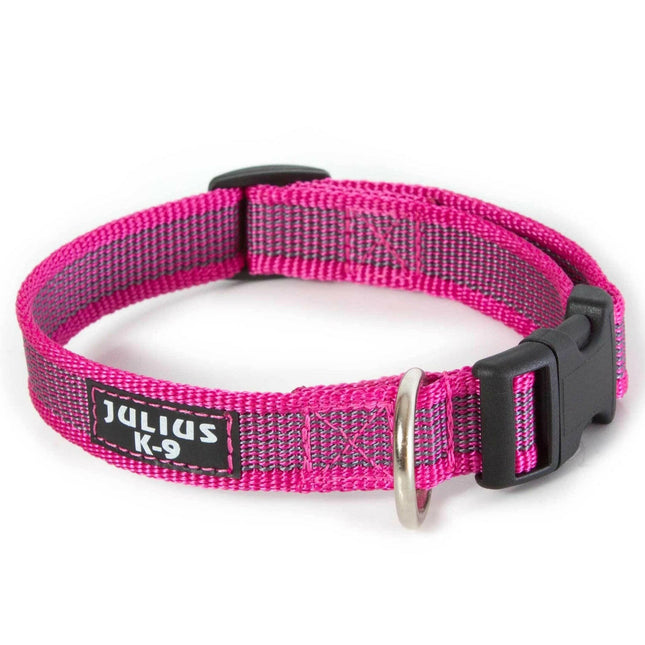 Julius K9 Color & Grey Collar - durable collar for dogs.