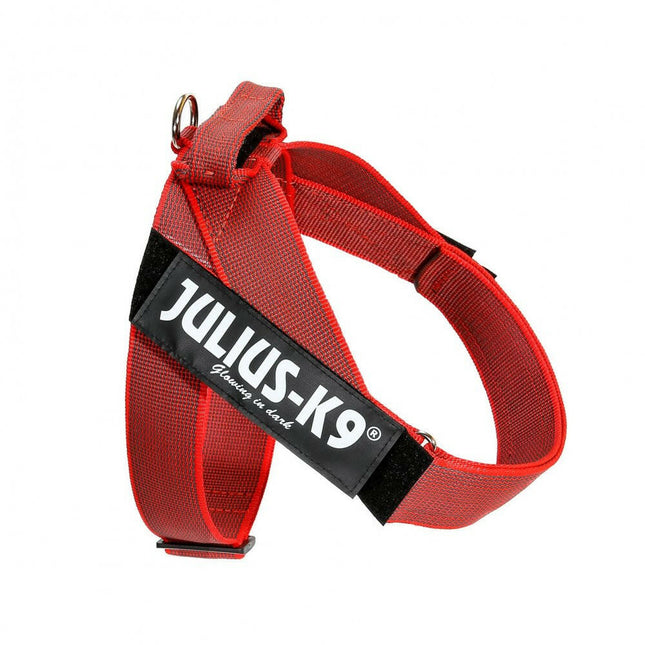 Julius - K9 IDC Color & Gray Belt Harness - dog harness, belt harness.