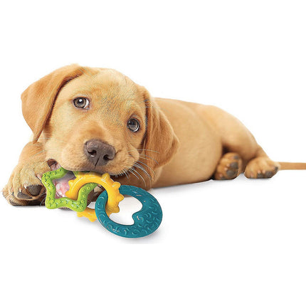 Nylabone Puppy Teething Rings Bacon - teething toy for puppies, bacon flavor