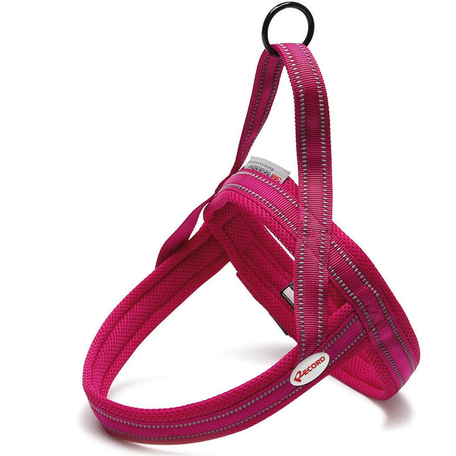 Record Action Dolomiti Harness - comfortable Scandinavian-style harness for dogs.