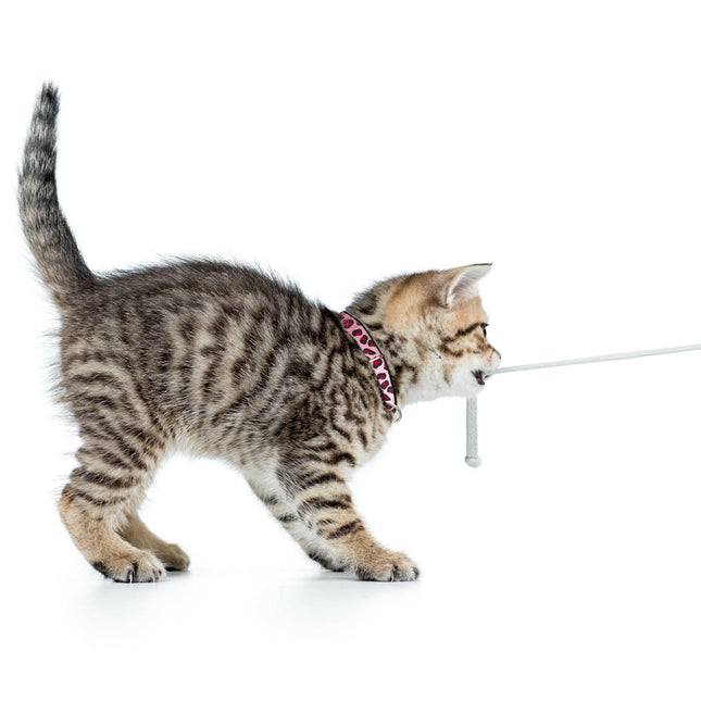 Max&Molly GOTCHA! Smart ID Cat Collar Leopard - colorful collar for cats with a smart tag pendant.