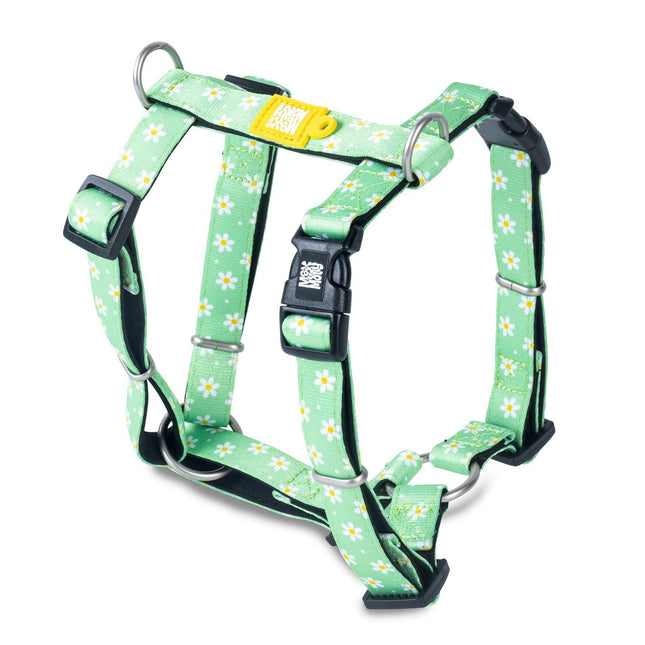 Max&Molly H - Margarite Harness - colorful harnesses for dogs and puppies, adjustable.