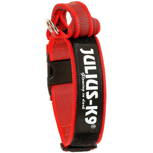Julius K9 Color & Gray Collar with Handle - dog collar with handle and safety lock.