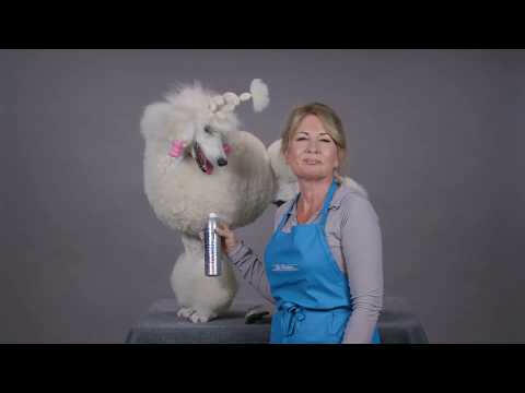 Chris Christensen Lift for Sure - volume-boosting product for dogs and cats, foam.
