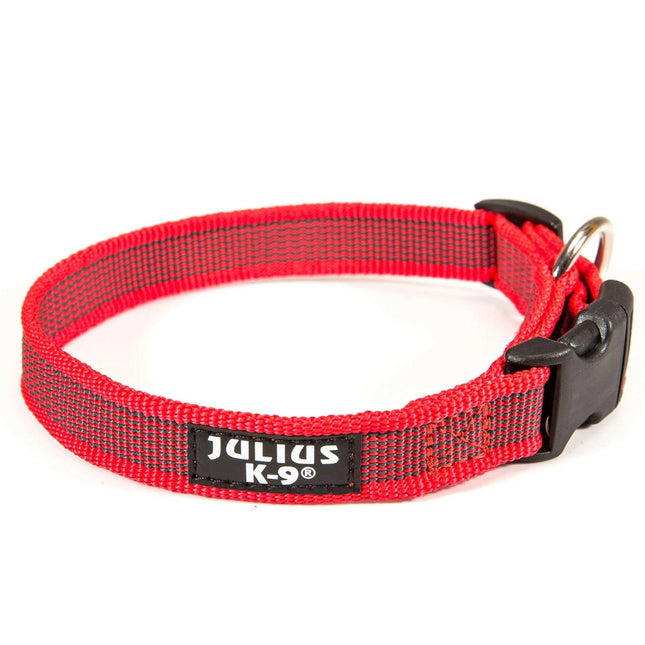 Julius K9 Color & Gray Collar - durable collar for dogs.