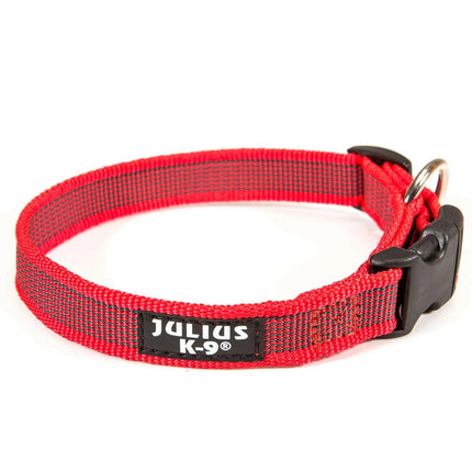 Julius K9 Color & Gray Collar - durable collar for dogs.