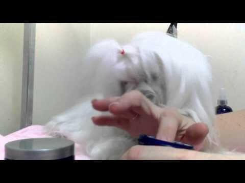 Pure Paws Love My Eyes Tear Stain Remover Debris Cleanser - Step 2 Facial Cleanser Spray.