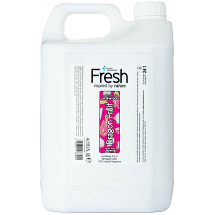 Groom Professional Dragon Fruit Shampoo - regenerating shampoo for dogs, concentrate 1:24.