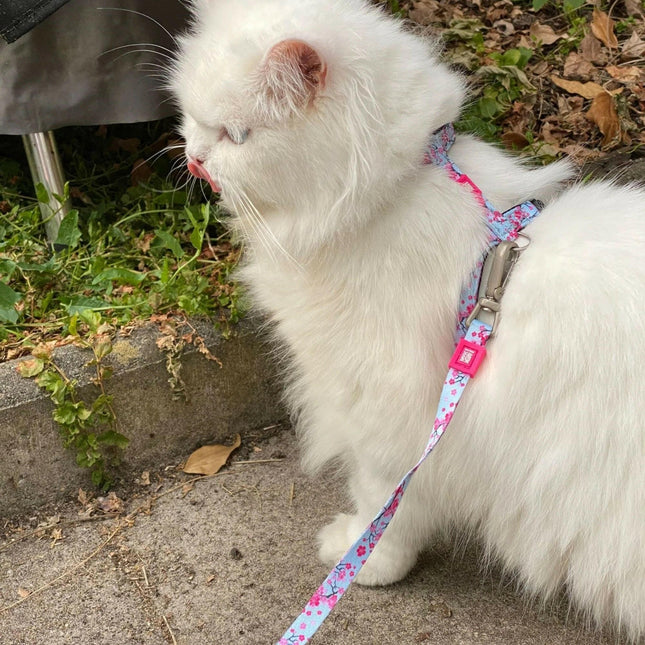 Max&Molly Cat Harness & Leash Cherry Bloom - harness and leash set for cats, cherry blossom pattern.