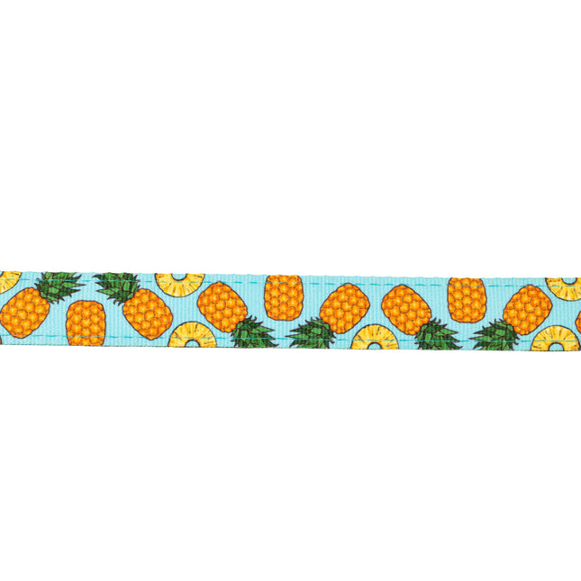 Max&Molly GOTCHA! Smart ID Cat Collar Sweet Pineapple - colorful collar for cats with a smart Tag pendant.
