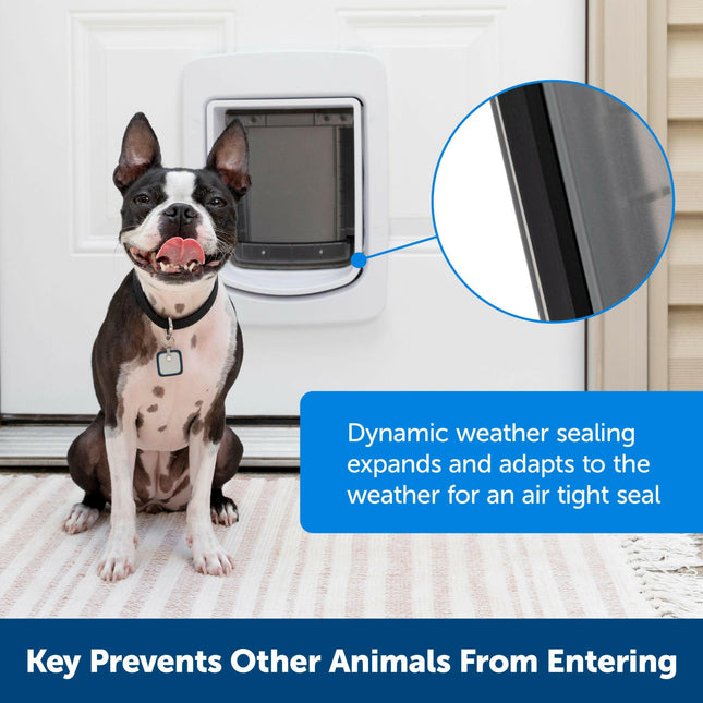 PetSafe SmartDoor Connected Pet Door - pet door for dogs and cats with chip, Wi-Fi, mobile app.