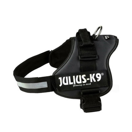 Julius K9 Powerharness - harness for dogs.
