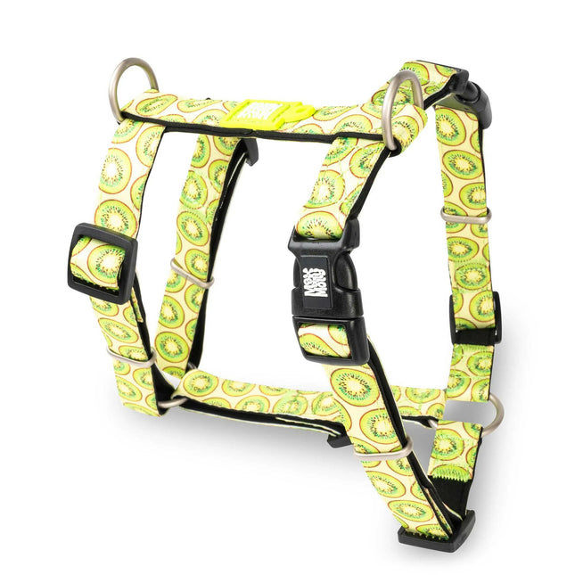Max&Molly H - Kiwi Harness - colorful adjustable harness for dogs and puppies.