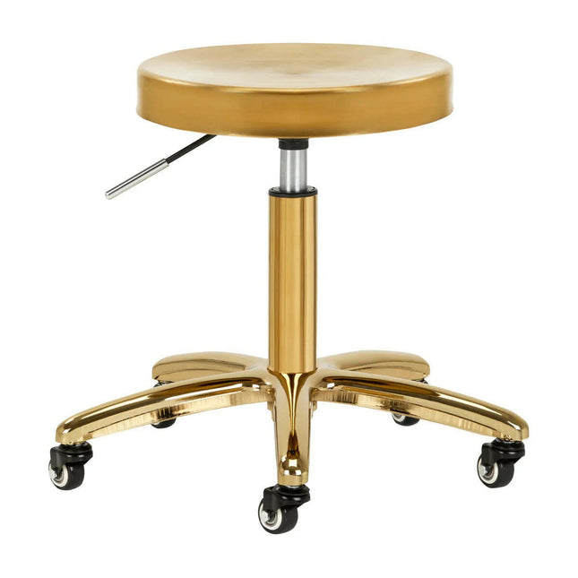 Activ AM - 863 - grooming stool, metal seat, height adjustment.