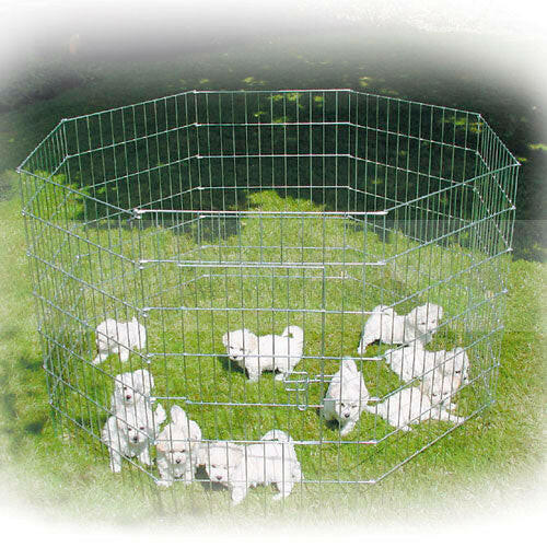 Show Tech X Pen Size 2 - Metal Puppy Pen, Dog Barrier, Height 8 Panels.