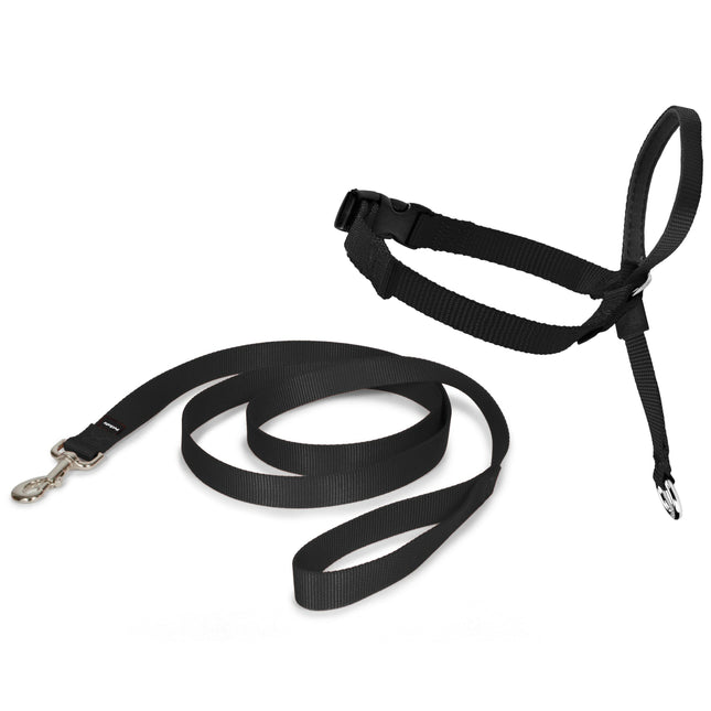 PetSafe Easy Walk Headcollar - headcollar for dogs, harness, and leash.
