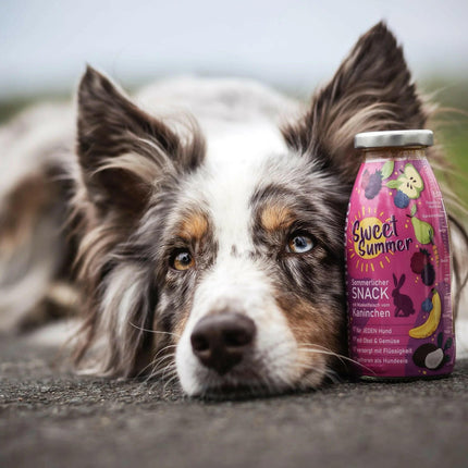 SmoothieDog Sweet Summer - smoothie for dogs, rabbit with vegetables and fruits.
