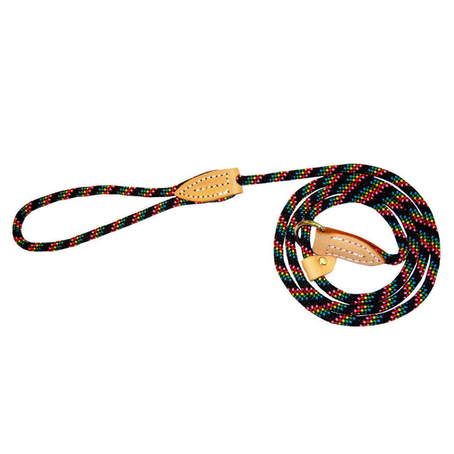 Hamilton Quick Walker Leash - 2-in-1 adjustable, slip collar and leash for all breeds and sizes of dogs.