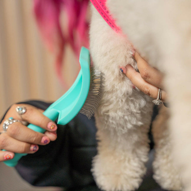 Jelly Pet Firm Slicker Brush Large - Large Poodle Brush.