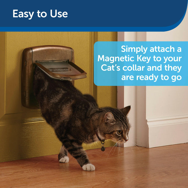 PetSafe Magnetic Collar Key with Collar - PetSafe Staywell Magnetic Collar with Magnetic Tag.