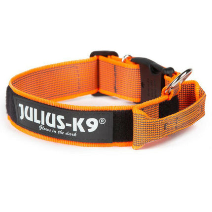Julius K9 Color&Gray Collar with Handle - dog collar with handle and safety lock.