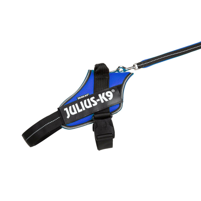 Julius - K9 Powair Leash - lightweight leash for dogs.