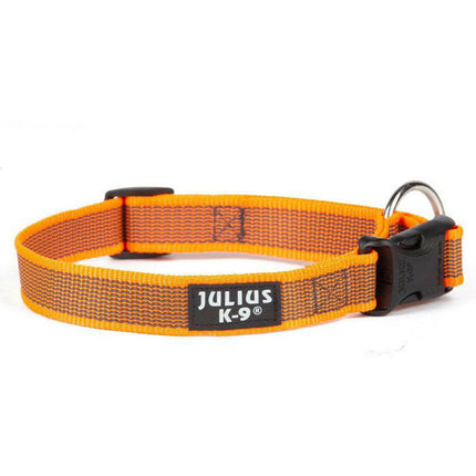 Julius K9 Color & Gray Collar - durable collar for dogs.