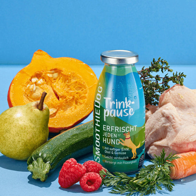 SmoothieDog Drink Pause Duck - smoothie for dogs, duck with vegetables.