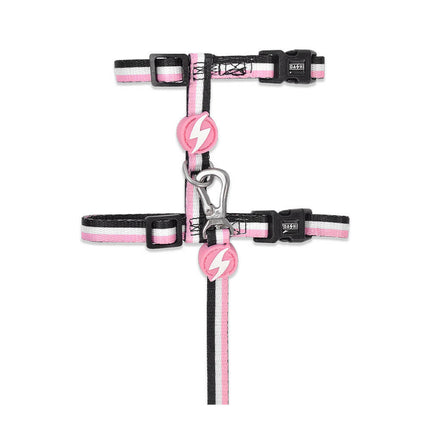 Dashi Stripes Pink & Black Cat Harness + Leash - harness and leash for cats, set, pink and black stripes.