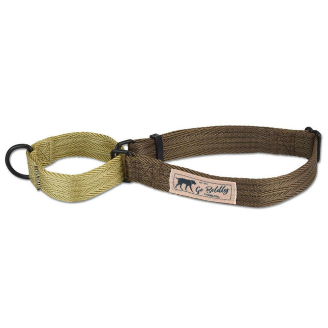 Hamilton Go Boldly Martingale Collar Size - martingale collar for dogs, for medium and large breeds.