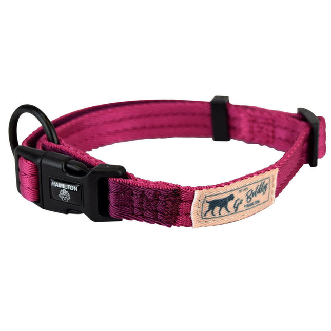 Hamilton Go Boldly Adjustable Collar Size - adjustable collar for dogs, suitable for small and medium breeds.