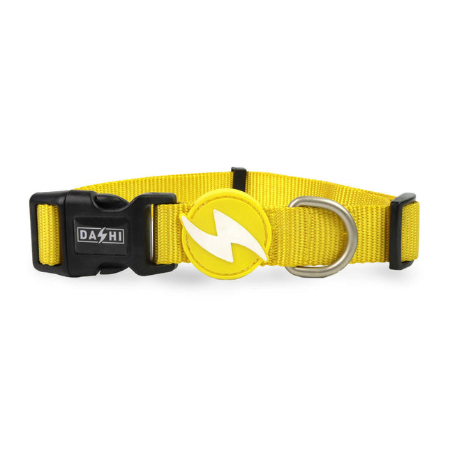 Dashi Solid Collar - yellow nylon dog collar.