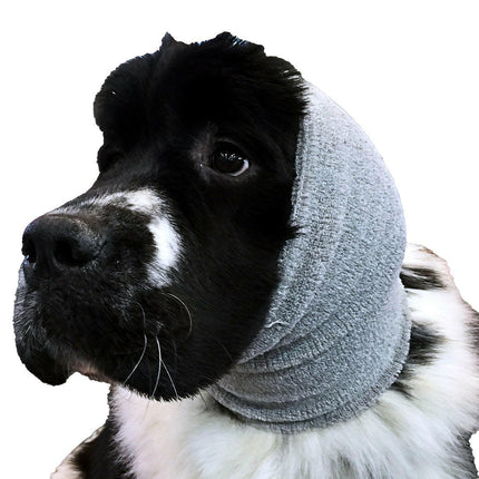 Show Tech Ear Buddy XL - drying band for timid dogs, large.