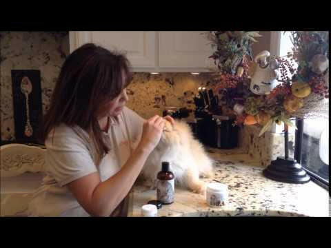 Eye Envy Cat Starter Kit Small Brush - eye stain removal cosmetic kit for cats, with a brush.