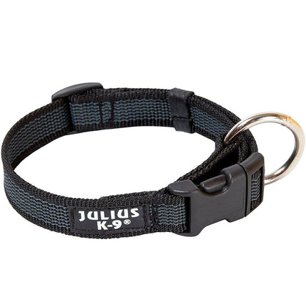 Julius K9 Color & Gray Collar - durable collar for dogs.