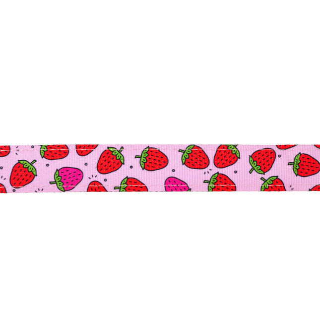 Max&Molly GOTCHA! Smart ID Cat Collar Strawberry Dream - colorful collar for cats with a smart Tag pendant.