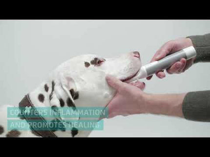 Cleany Teeth for Dogs Starter Pack - ultrasonic toothbrush for dogs, for removing tartar.