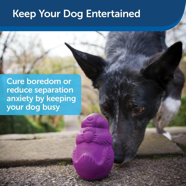 PetSafe Busy Buddy Squirrel Dude - chew toy for dog treats, squirrel.